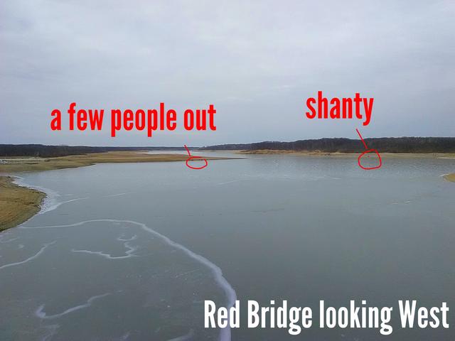 aviary-image-1517682640997