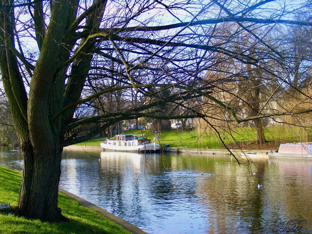 LOCAL-RIVER-CAM-HD.jpg