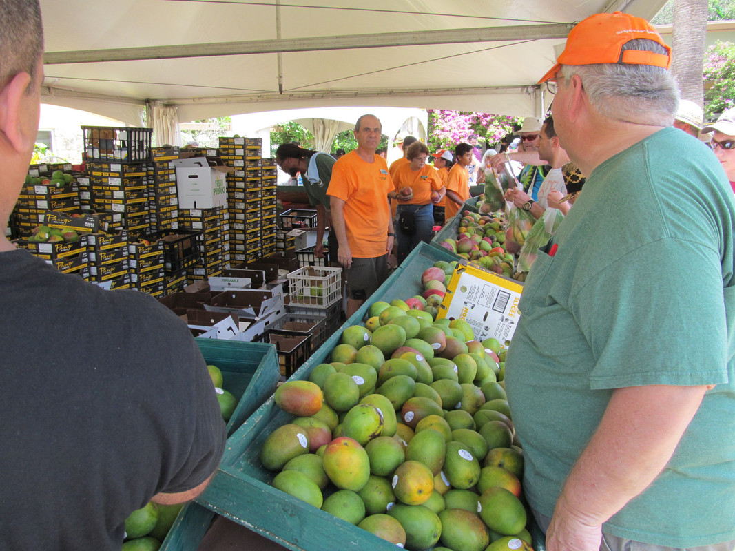 MangoFest2015 028