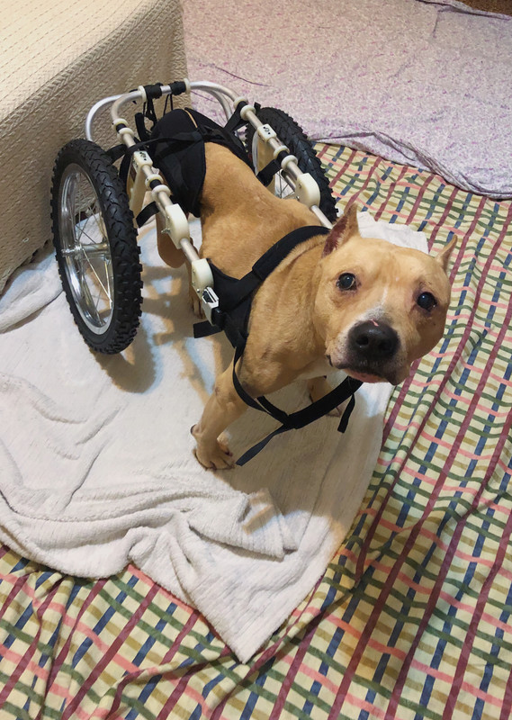 E3F55CF7-053B-40D6-AD19-1E3EF8A586A3