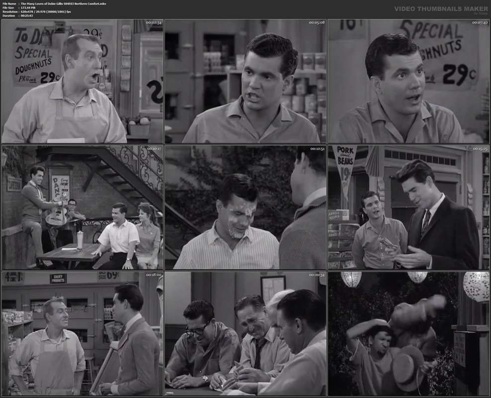 The Many Loves of Dobie Gillis S04E03 Northern Comfort.mkv