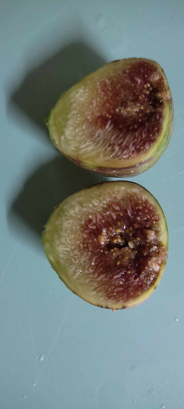 received_1227492271256915