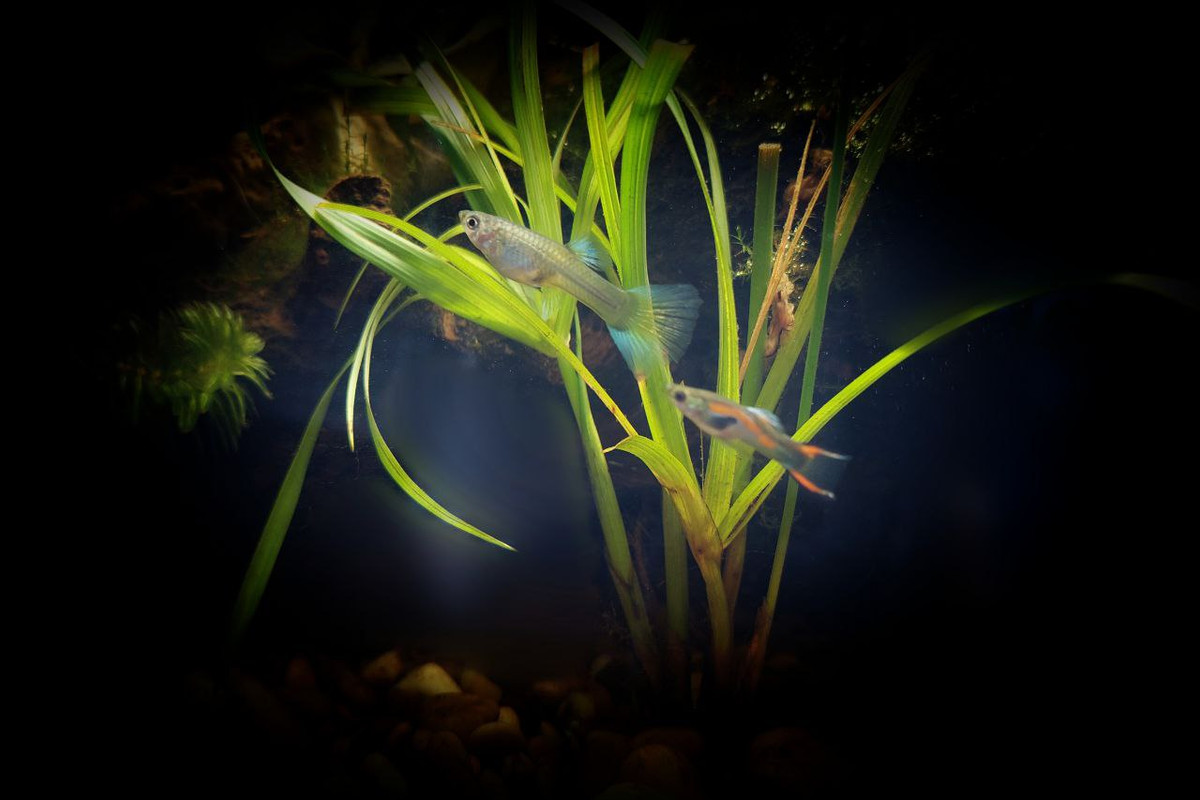 photo_2023-10-05_21-51-31 (2)