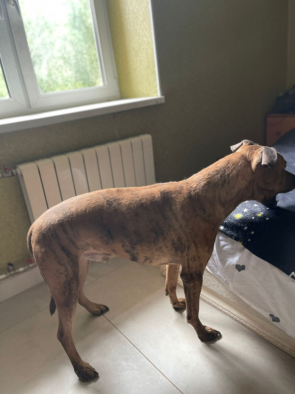 WhatsApp Image 2022-09-08 at 13.36.29 (1)