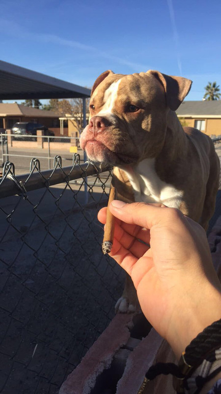 EB0F74B6-9B2D-41B8-8602-431B326A76D0