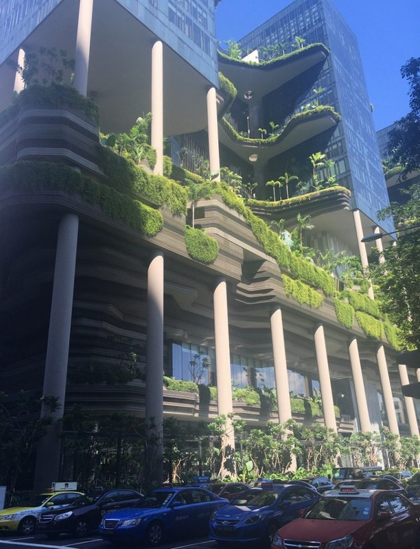 18 случаев, когда владельцы отелей удивили креативностью