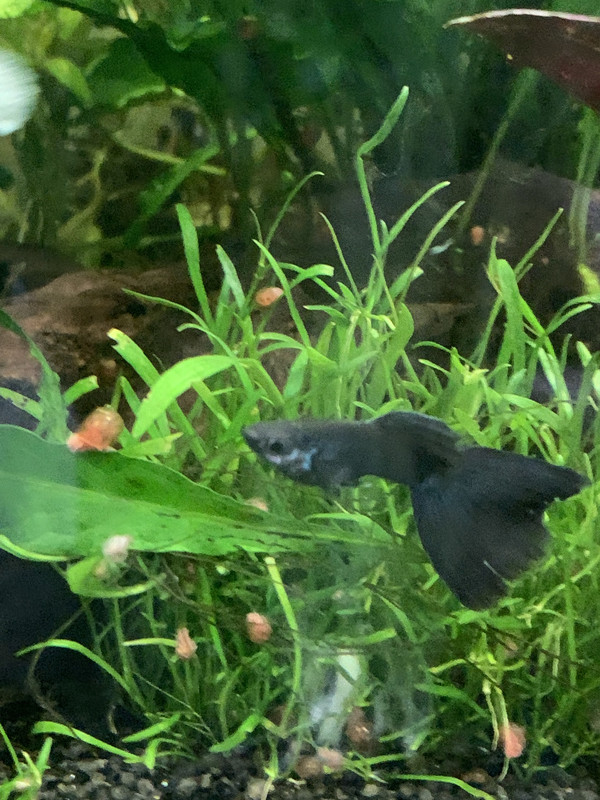 F3AE2E4D-9A1A-492C-A9A3-A62388F95B93