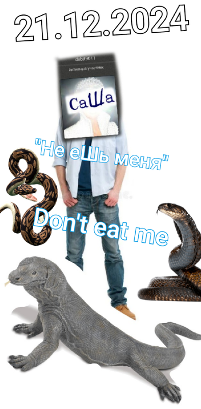 https://i.postimg.cc/vH32ZGdd/Screenshot-20241221-121508.png