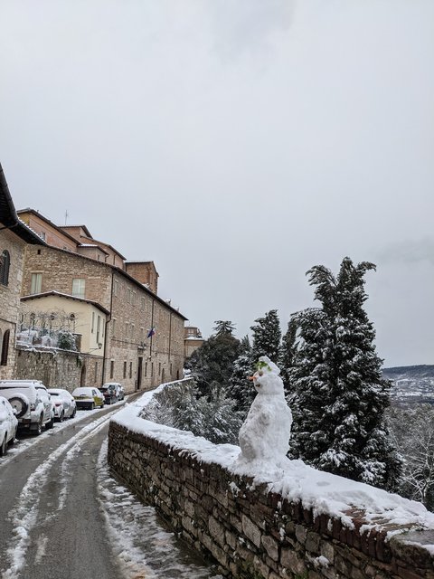 PXL_20210213_101826536.MP