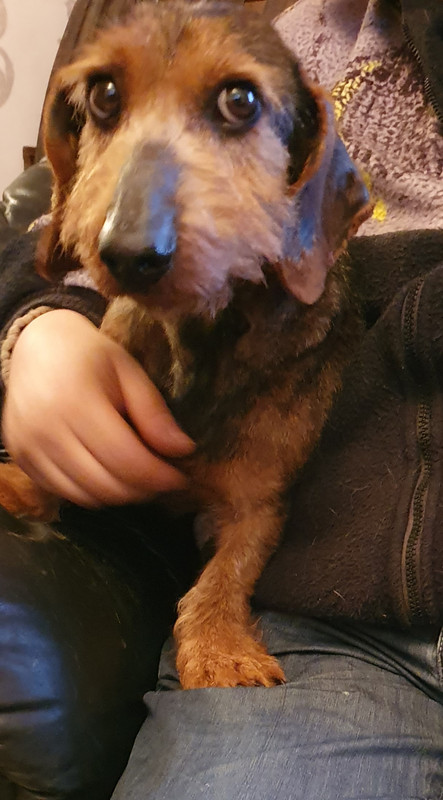 [Image: 20220319-132911.jpg]