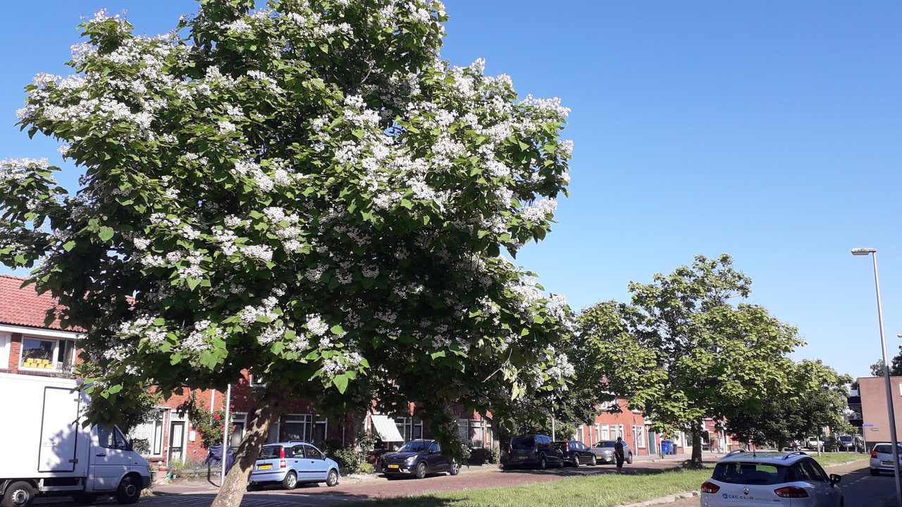[Image: 20190628-173418.jpg]