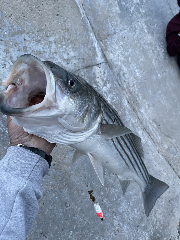 4CCEC8B8-67D6-4F91-88AA-2EF128D4663E