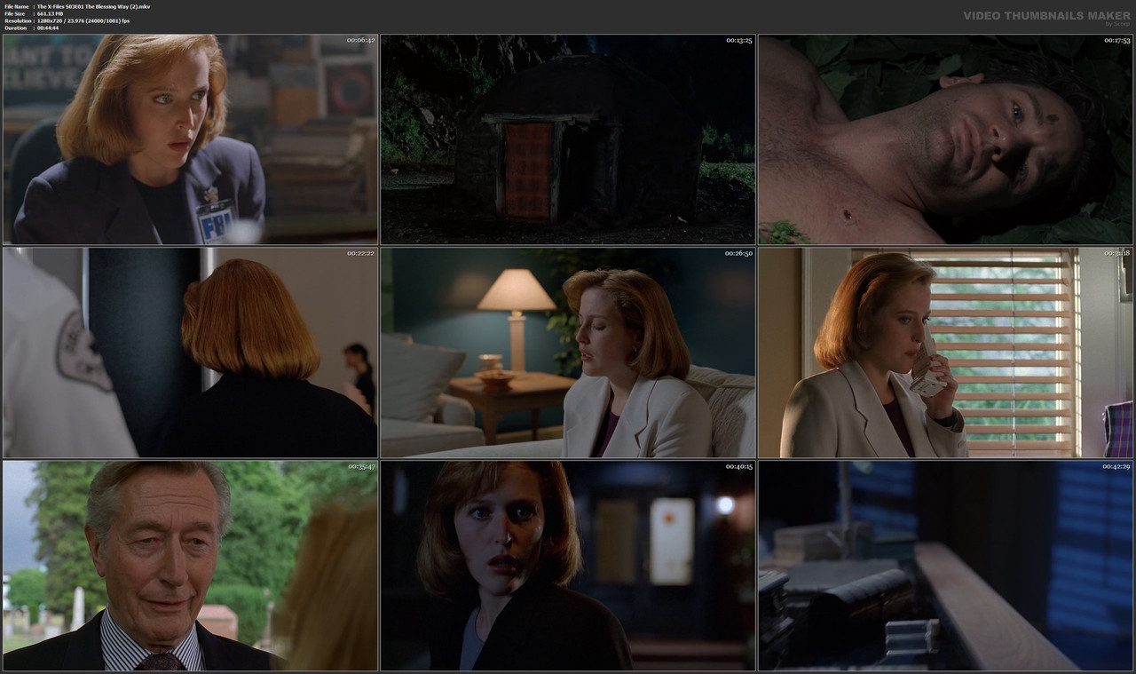 The X-Files S03E01 The Blessing Way (2).mkv