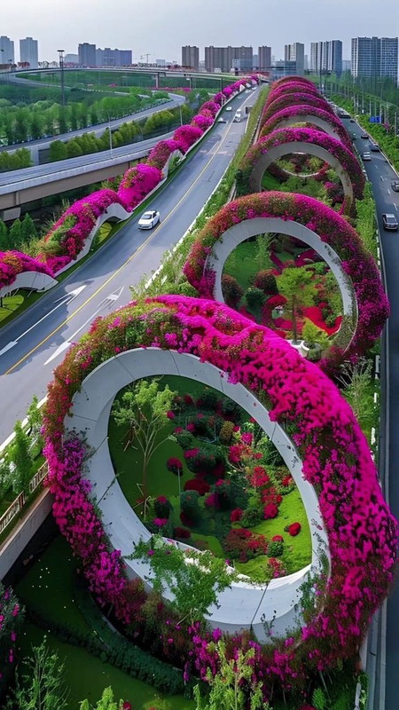 pink-boulevard.jpg