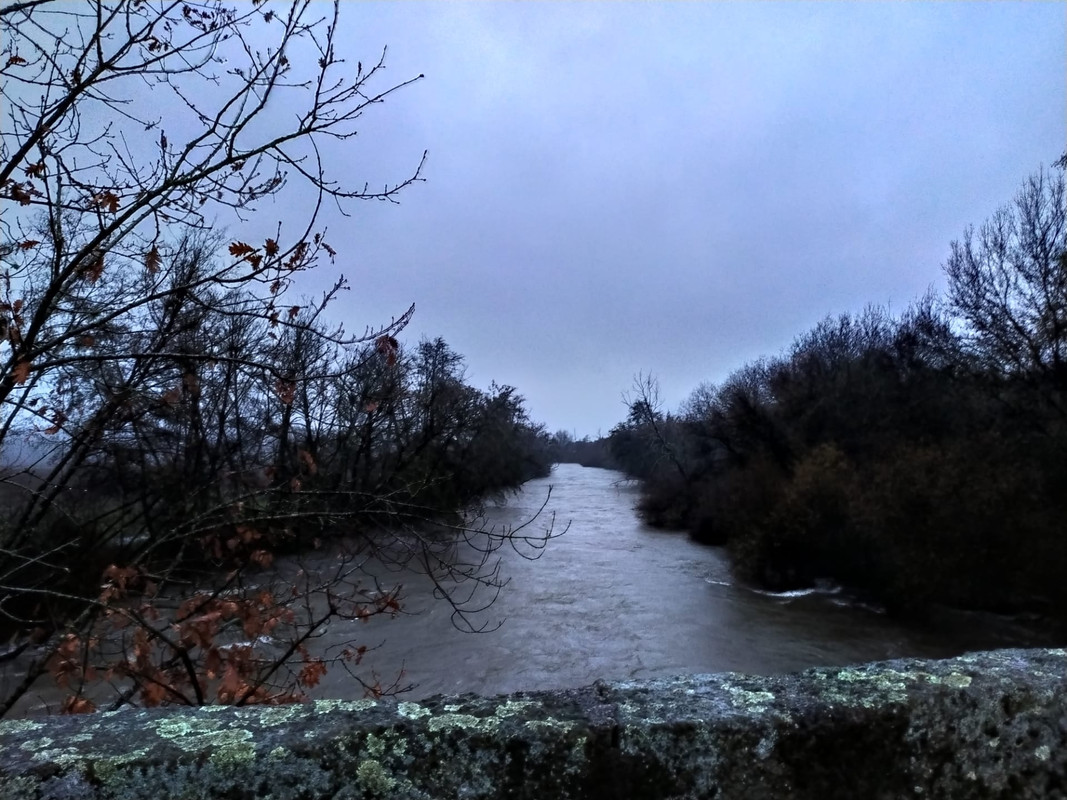 IMG-20191219-WA0006.jpg