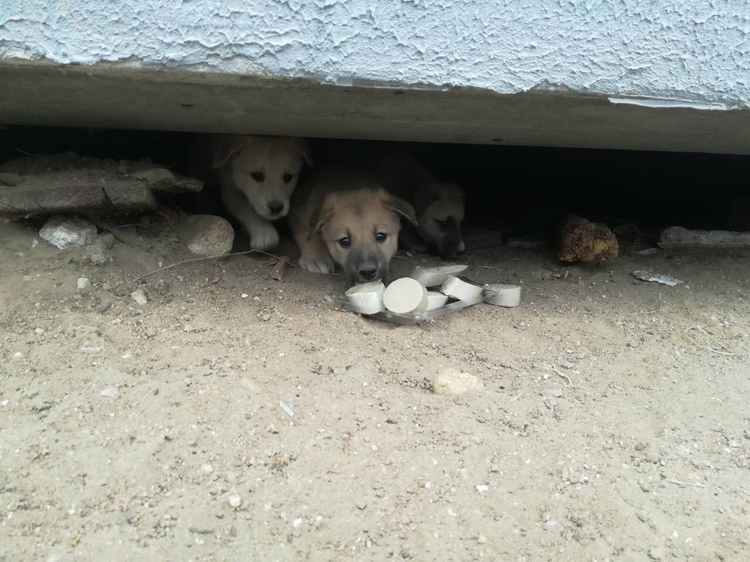 IMG_0345-27-10-18-02-44