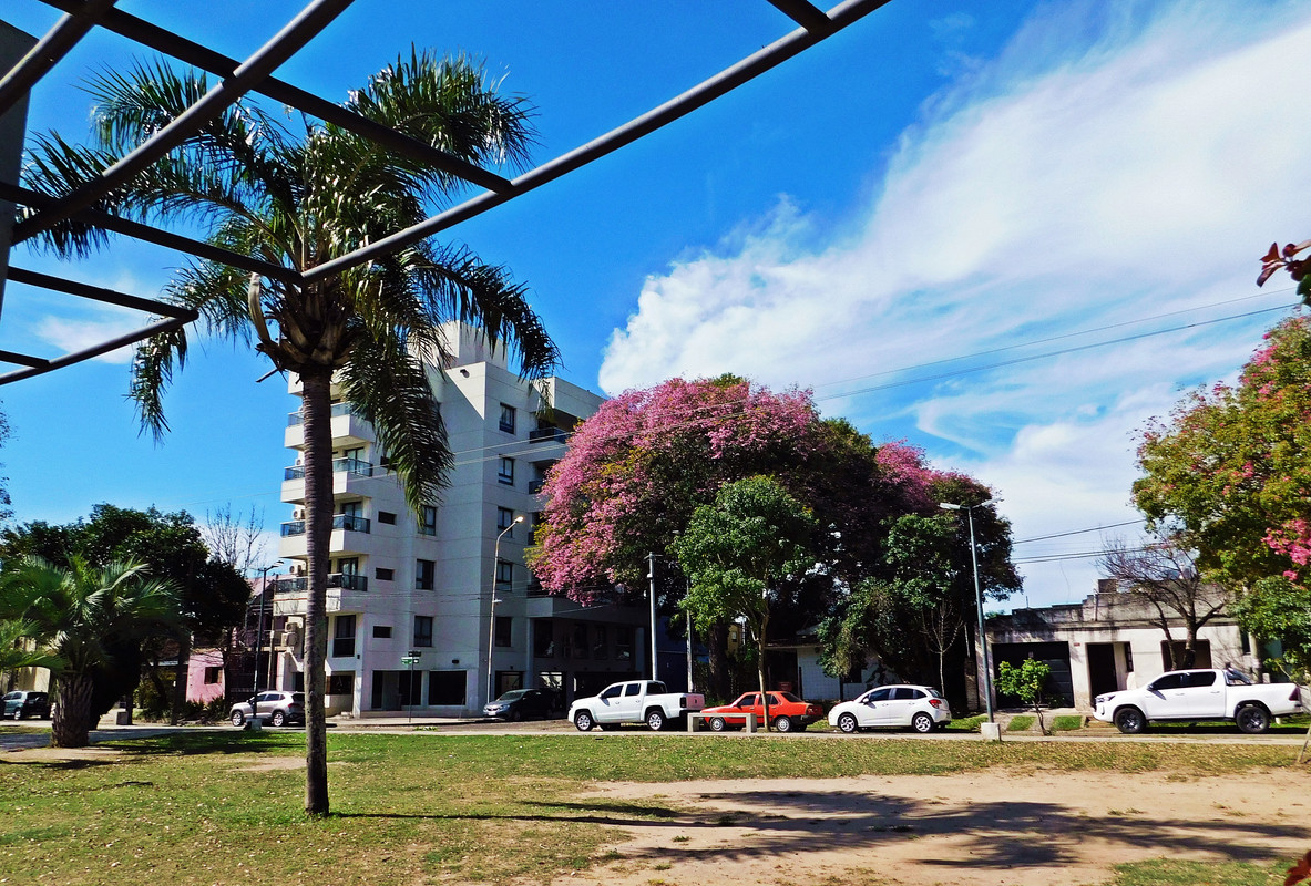 DSCN0038.jpg
