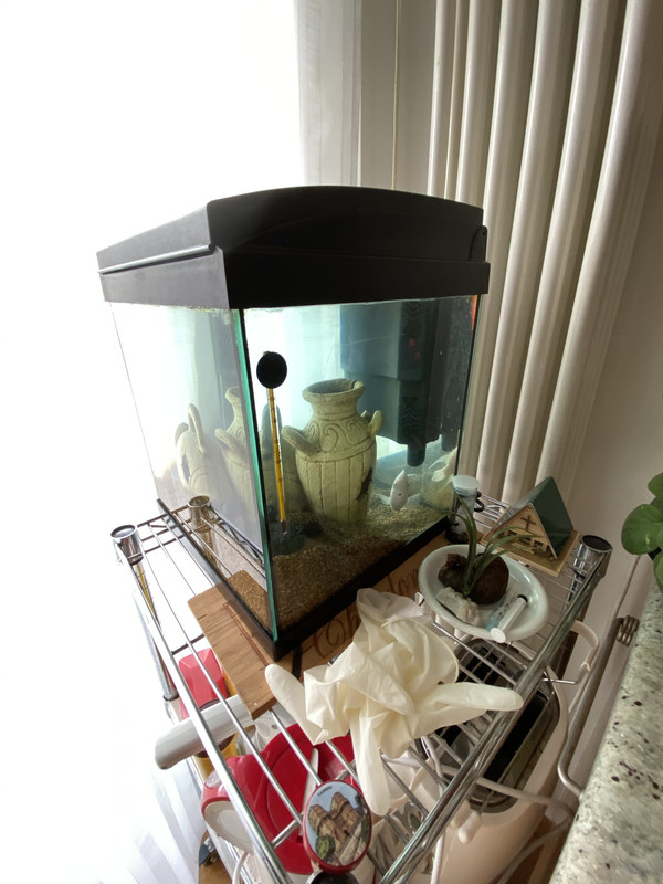 C63232B1-E64F-4207-9185-24A02BA1D3AE