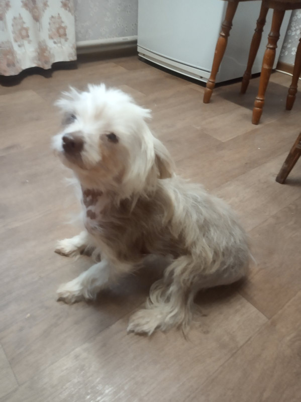 18CEF727-BE8C-4C0C-BA1B-26DB2A779FB2