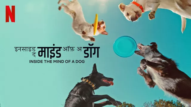 Inside the Mind of a Dog (2024)[Hindi-English]