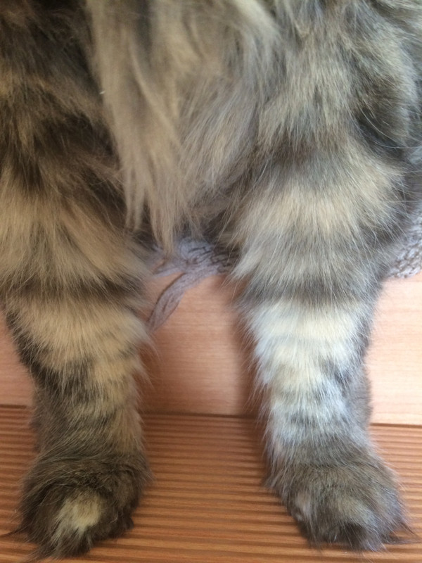 23F46924-46C2-4031-9412-768407DDAF6F