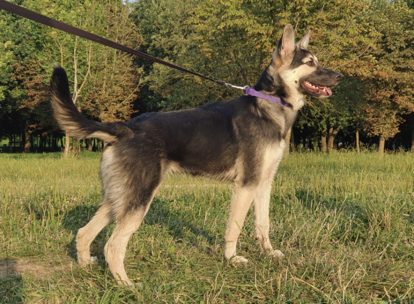 3517A23E-A05E-44C6-9869-3E93D98FEE68