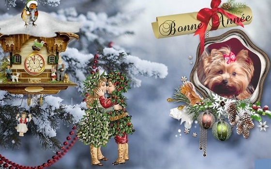 pixiz 27 12 2025 17 14 37