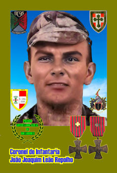 Jo-o-Joaquim-Le-o-Repolho-350