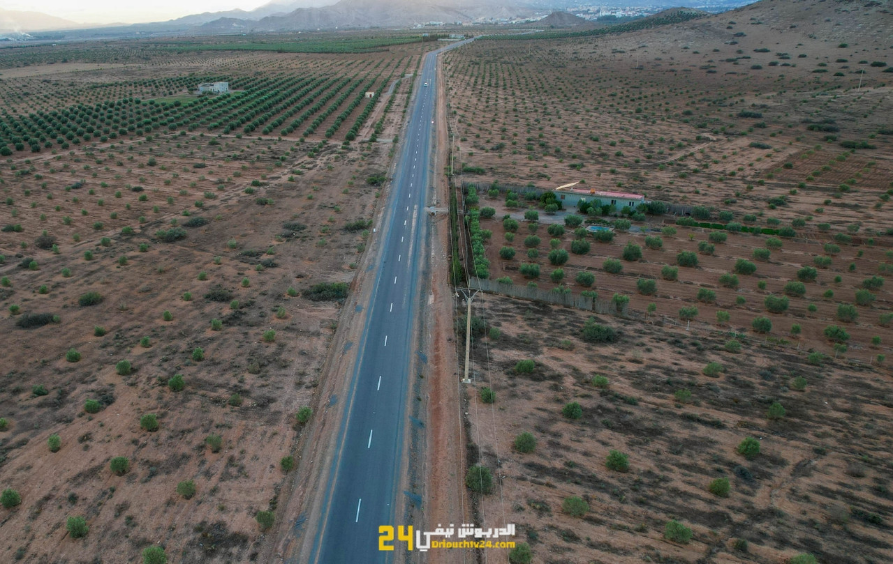 DJI-0841