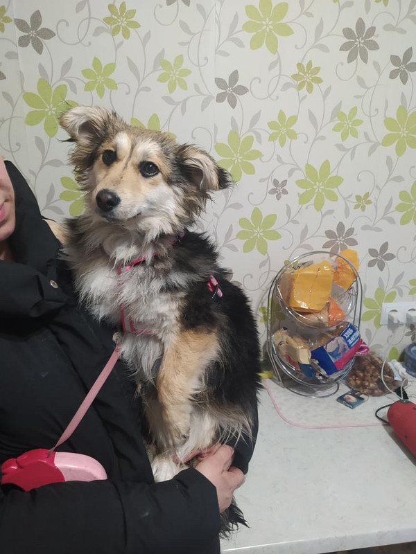 F7F2EC29-AA36-477E-B4EC-0CB853DB0494