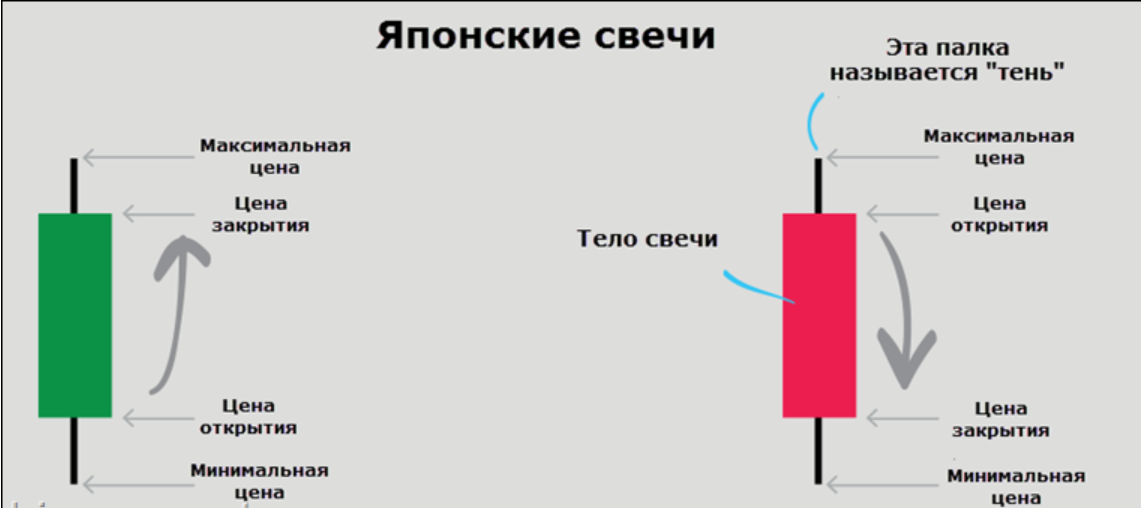 article content image