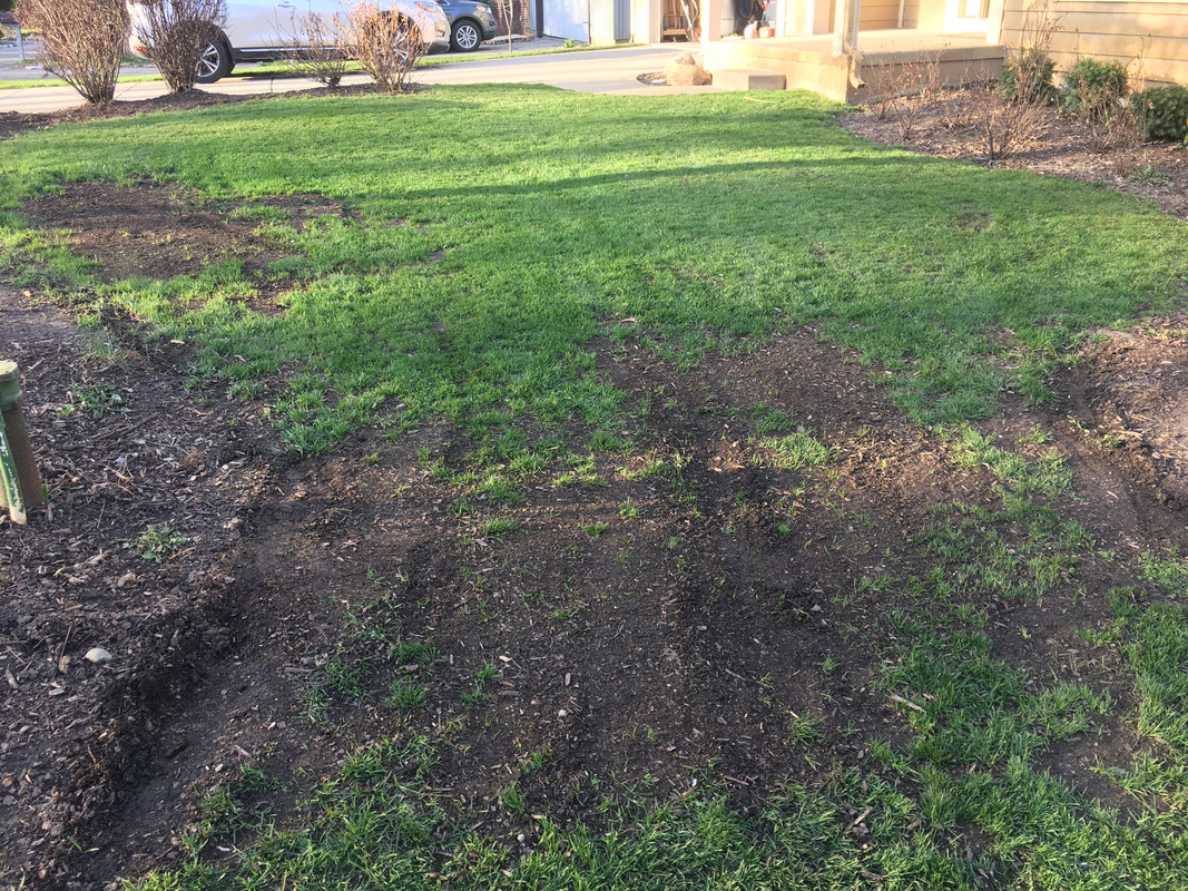 F6FFCAB0-FB80-4AC2-90CB-B703590995BC