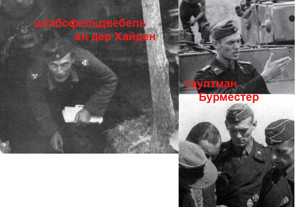 бурместер хайден