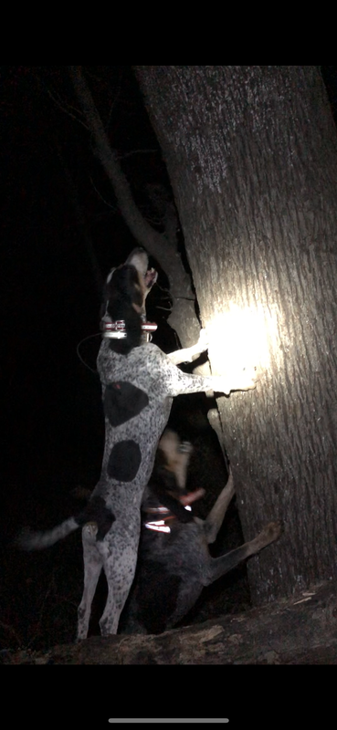 6A393131-BA75-49F8-A4B1-A63C7E0D92F7