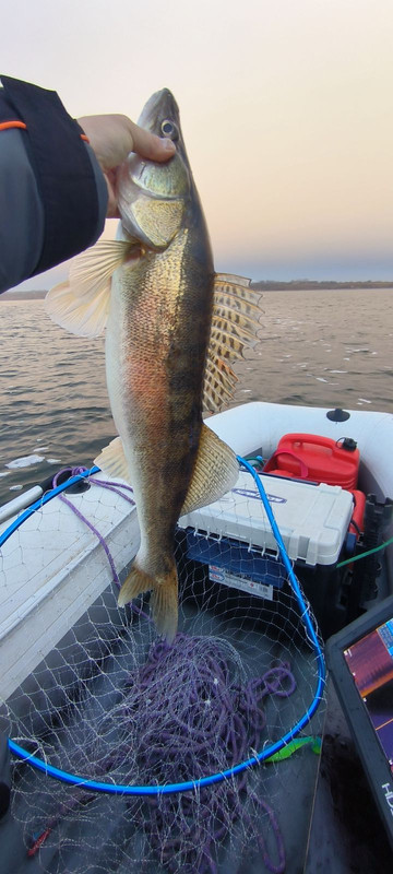 -1x-1xMQ_IMG_20231111_084515 (1)