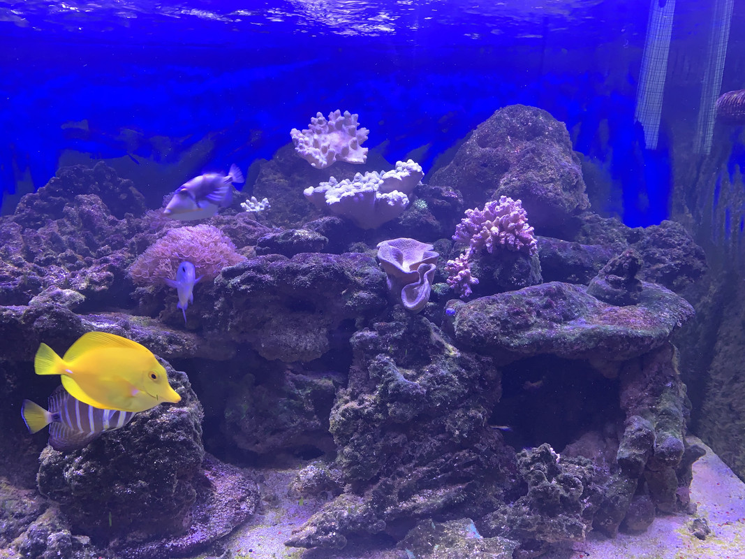 B92A675F-2C76-4E4E-8685-470DC50FC791