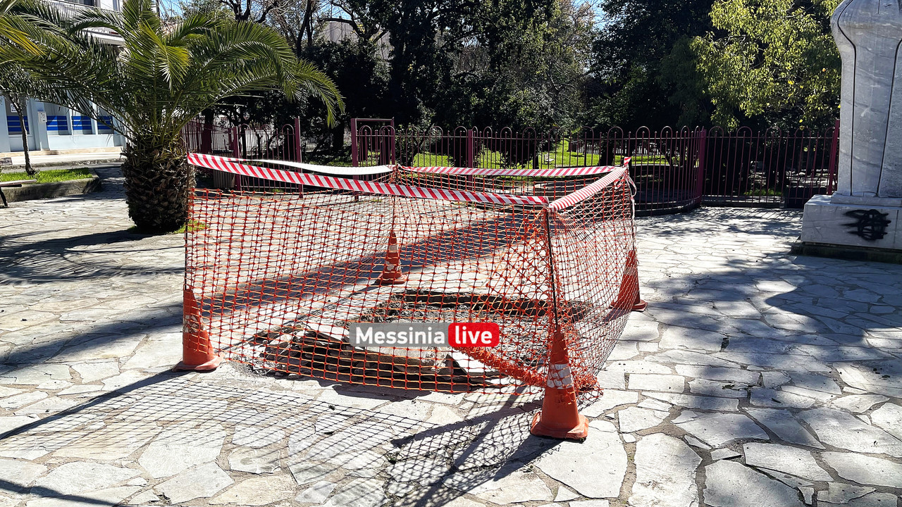 ΕΞΥΠΝΟ ΔΕΝΤΡΟIMG_9966