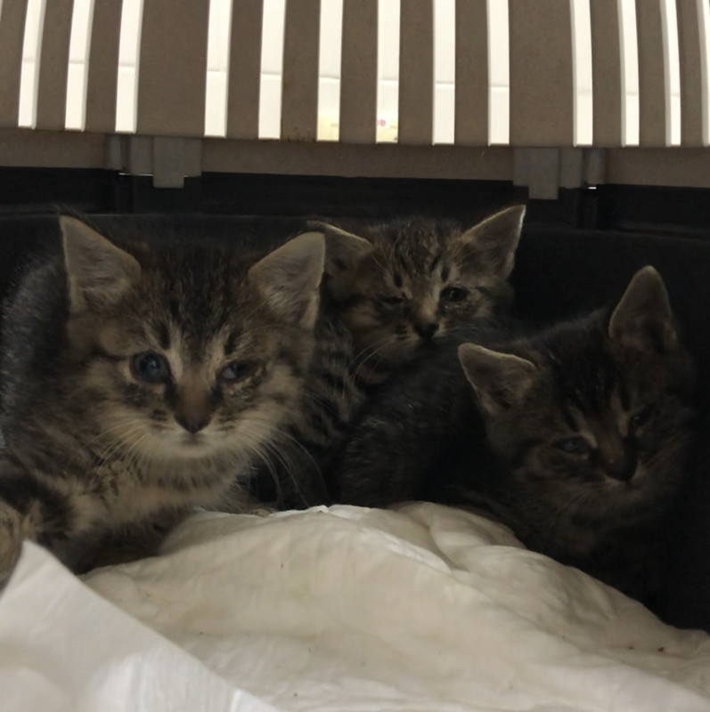 0DC253F2-38F4-496F-8F11-D51CB8576FE1