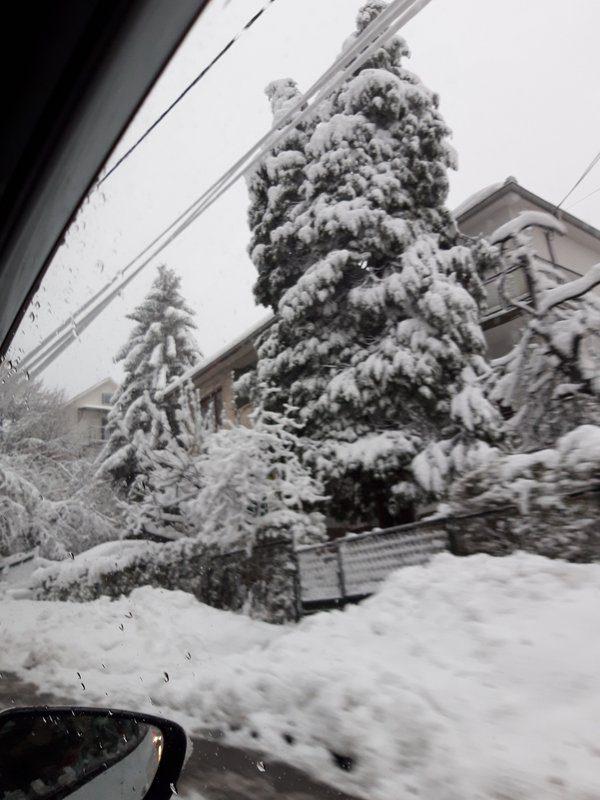 Slika