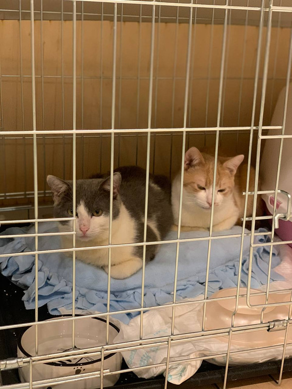 F4B6A4D3-E364-426C-BD86-B31A13669BDF