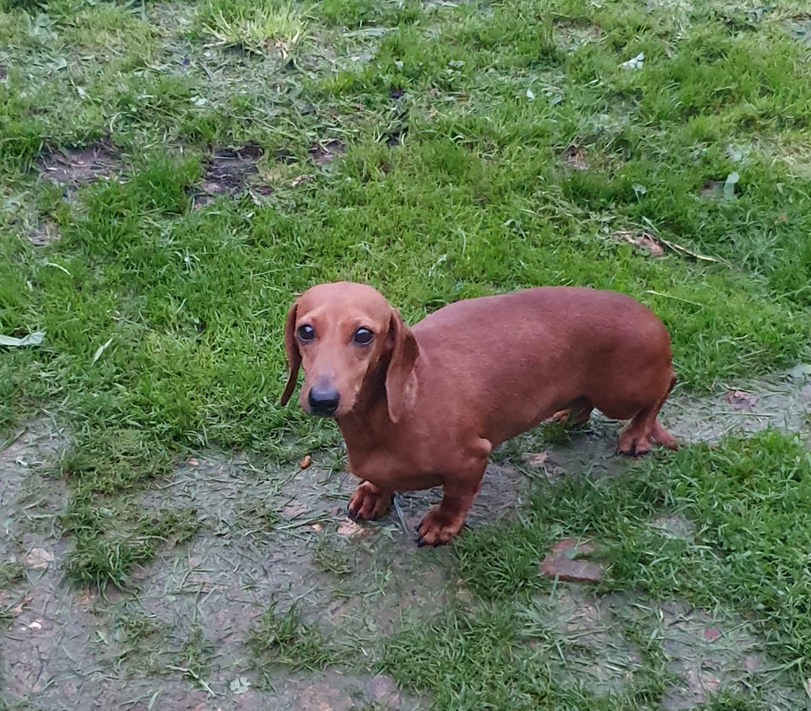 [Image: 20221120-164134.jpg]