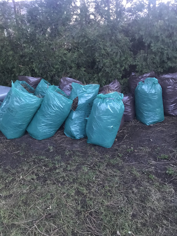 B1FF780D-6DB0-4974-AF62-1EEDB85F9EB1