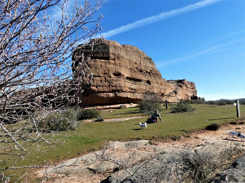 YACIMIENTO ARQUEOLOGICO DE TIERMES-16-2-2020 - Soria y sus pueblos-2010/2013/2020 (72)