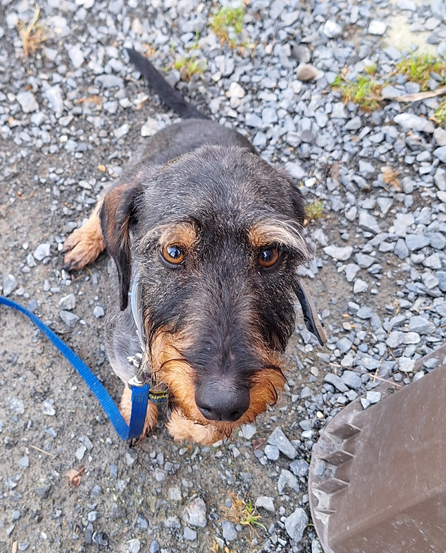 [Image: 20240127-104712.jpg]