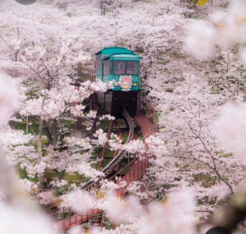 Screenshot_20230402_231817_Pinterest