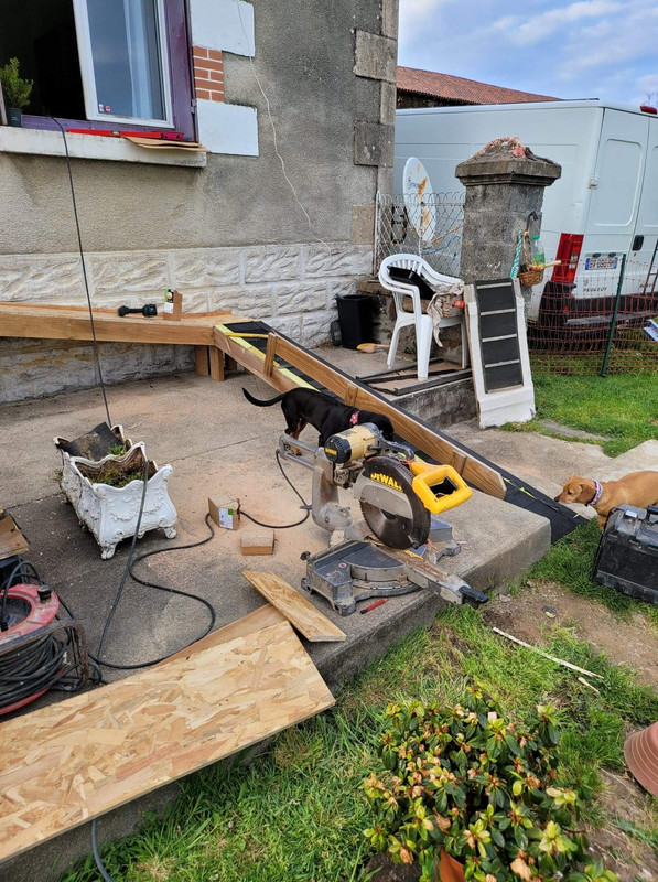 [Image: 67-C614-E3-DD97-4-C7-F-95-F3-FEBDEF33-FD37.jpg]