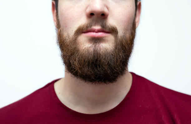 Classic beard styles for men