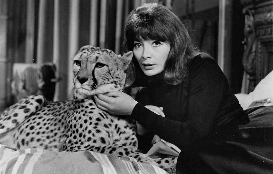 Maléfices (1962)