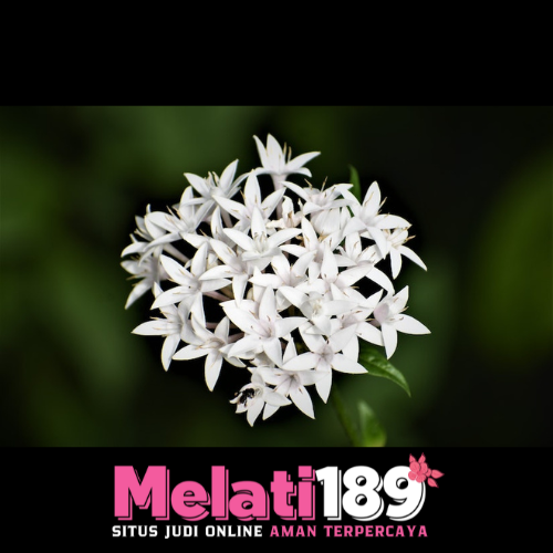 MELATI189 | Harumnya Kemenangan Yang Berlimpah - WooCommerce eCommerce