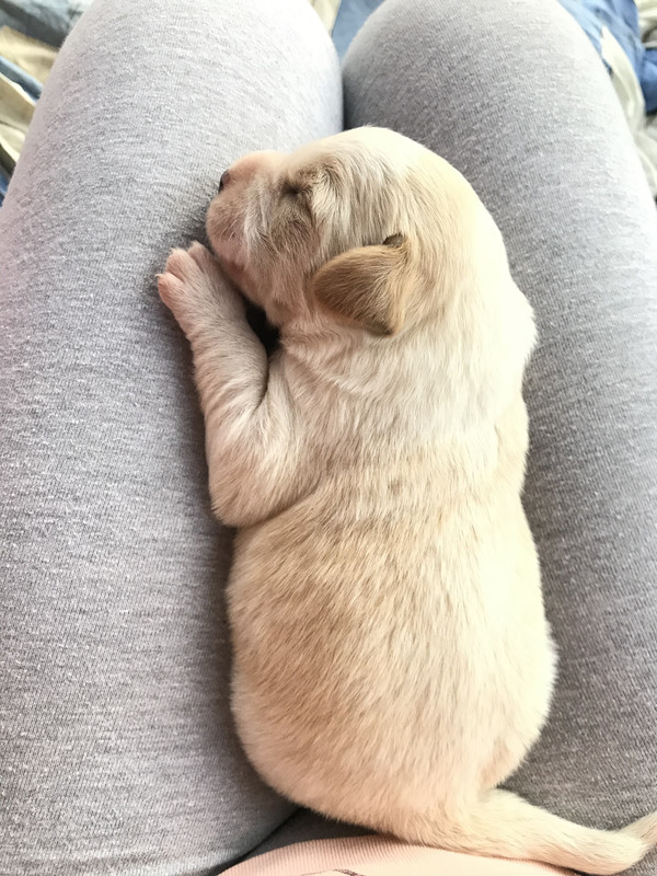 661C8118-FCEE-46CC-9A12-47C36AE2EA8F